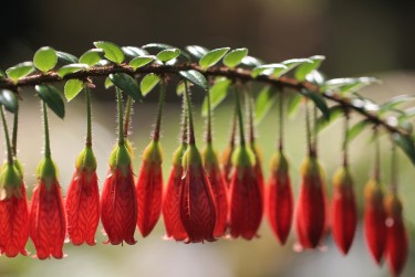 惠州惠阳区8私人快速借钱网，轻松解决资金难题