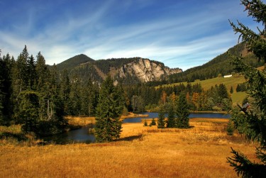 惠州惠阳区8民间私贷攻略：揭秘低成本借贷的秘密